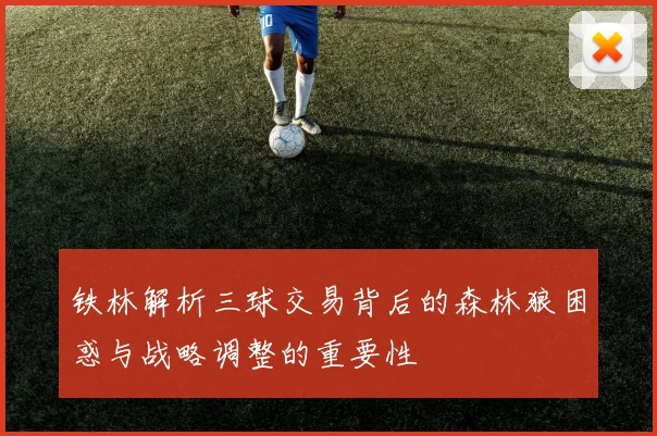 铁林解析三球交易背后的森林狼困惑与战略调整的重要性