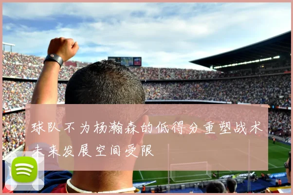 球队不为杨瀚森的低得分重塑战术未来发展空间受限