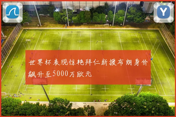 世界杯表现惊艳拜仁新援布朗身价飙升至5000万欧元
